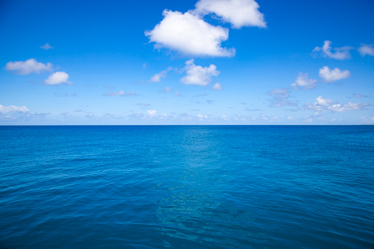 Klicken zum Vergrössern